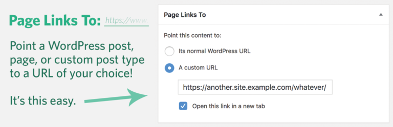Page Links To settings screen showing “Point this content to” with a custom URL option and a sample https://another.site.example.com link field in blue and green.